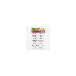 Broche de Presión de Níquel 6 Cajas con 8 Tarjetas de 36 Juegos #000
                        12-148-Níquel
                     