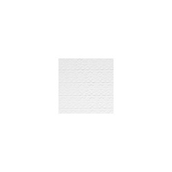 Encaje Canesú 50 m CR058
                        012-Blanco
                        Blanco