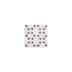 Broche de Presión de Níquel 6 Cajas con 8 Tarjetas de 36 Juegos #00
                        9-116-Negro
                        