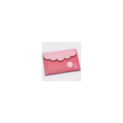 Estuche con Ganchos Crochet con 1 Cabeza de Aluminio Zing
