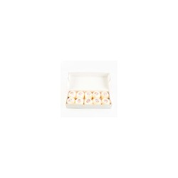 Hilo Doli Perlé Algodón 10 bolas con 10 g
                        11-Blanco
                        9-Negro
                    