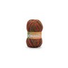 Estambre Hayfield Bonanza 3 Madejas con 400 g
                        14-11-Tumbled autumn
                        14-12-Liquori