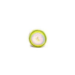 Estambre Roly Poly 3 Madejas con 100 g
                        14-09571-Sweet Pea
                        14-09856-Rainbow
     