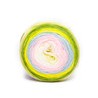 Estambre Roly Poly 3 Madejas con 100 g
                        14-09571-Sweet Pea
                        14-09856-Rainbow
     