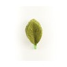 Hoja de Terciopelo Mod. 400 1 millar