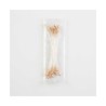 Pistilo Nacarado Chaquira 100 bolsitas con 20 Pzs.
                        11-123-Blanco
                        3-109-Rosa
    