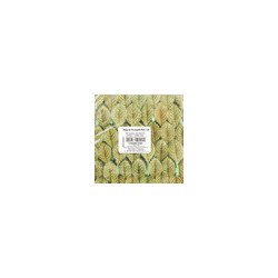 Hoja de Terciopelo Mod. 160 1 millar